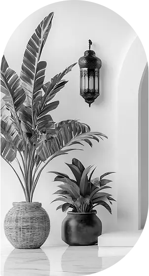 Decorative Plants